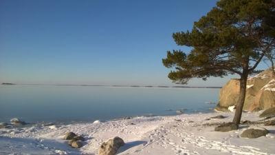 Jolla Tirroniemi Jolla Tirroniemi