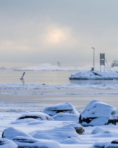 Winter Winter