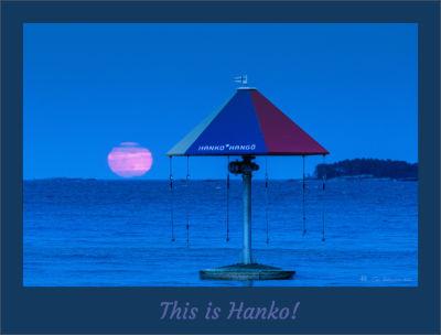 Pink moon