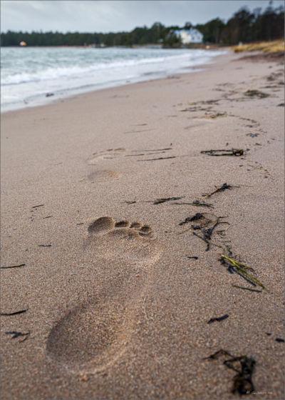 Big Foot Big Foot