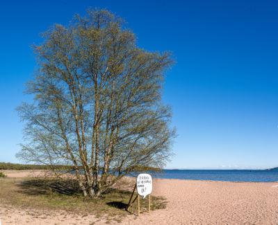This is Hanko